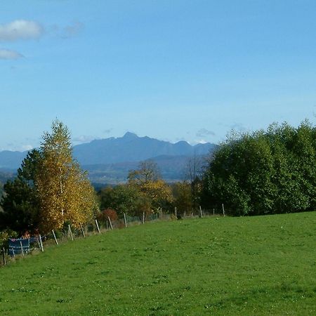 Gaestehaus Alpina Bad Kohlgrub Esterno foto