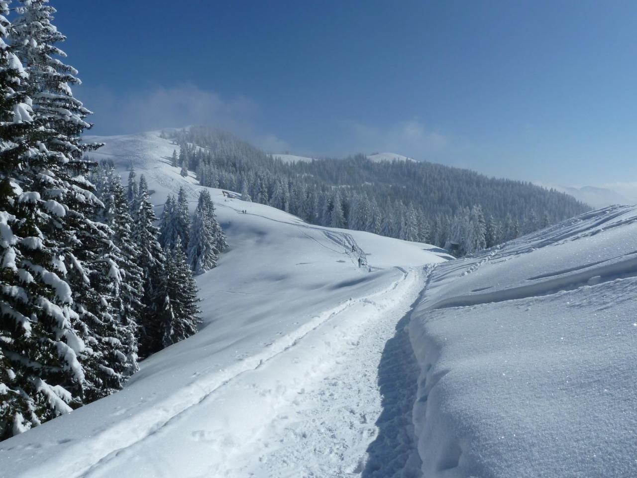 Gaestehaus Alpina Bad Kohlgrub Esterno foto